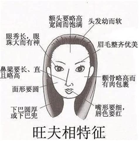 獅子鼻女人|【獅子鼻女人】獅子鼻女人的面相命理解析：事業心強、愛情專一。